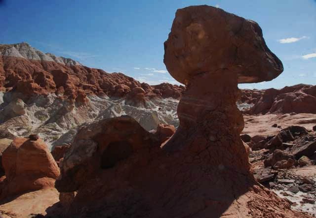 the toadstool trail